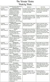 49 Exhaustive Baby Development By Week Chart