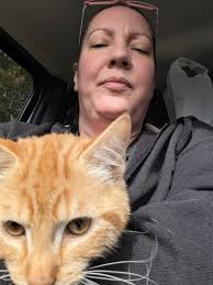 Found orange tabby cat near bridge