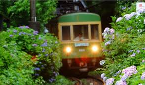 ぶらり途中下車の旅 江の電 太川陽介さん 見逃した方どうぞ 2019 6 29放送