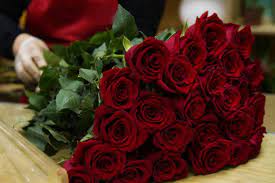 Maybe you would like to learn more about one of these? Floral Enchantment Florists St Paul Alberta St Paul Flowers Wedding Flowers