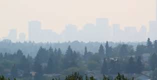 In regards to its air quality, edmonton was recorded as having a pm2.5 reading of 7.4 μg/m³ as its yearly average over the course of 2019. 9groe Vd Nwoym