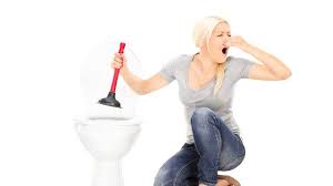 Comment déboucher des toilettes rapidement. Comment Deboucher Des Wc Cote Maison