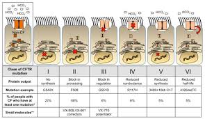 Image result for Delta F508