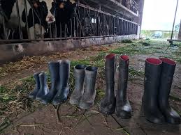A Historia Das Minhas Botas Carlos Neves Agricultor