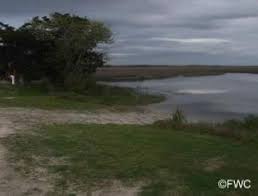 Public Boat Ramps Big Bend Wma St Marks Refuge Taylor