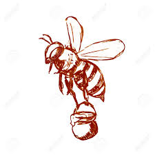 Greatbigcanvas.com has been visited by 100k+ users in the past month Drawing Sketch Style Illustration Of Honey Bee Carrying A Pail Stock Photo Picture And Royalty Free Image Image 135847534