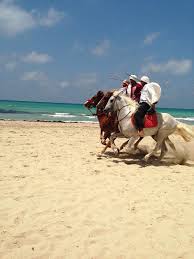 More images for tunesien djerba » Tunesien Djerba Pferde Reiten Sandig Strand Sommer Wasser Tropisch Pikist