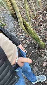 cock #schwanz #penisring #cockring # hardon #dogging #freizügig #forrest  #wald #showingoff : ufkk-familien