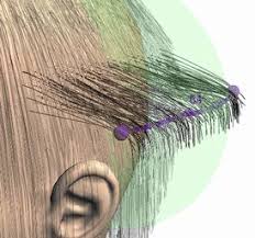 Check spelling or type a new query. Hair Cut Simulation Projects