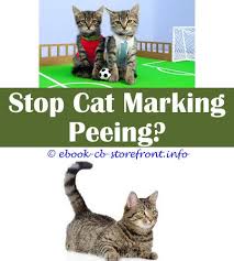 7 Aware Clever Hacks Homemade Spray To Keep Cats Away From Plants Female Cat Spraying Cat Deterrent Spray Essential Oil Where Do Ma Aerosol Admirable