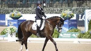The new horse game equestrian features horse riding, breeding and competing. Equestrian Paralympic Athletes Photos Events International Paralympic Committee