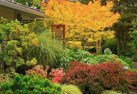 How and when to plant flowering trees. Diy Projects And Ideas Backyard Landscaping Unique Gardens Ornamental Trees