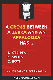 The appaloosa, quarter horse, and morgan were all developed in america. Pin On Animal Quizzes