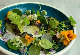 We did not find results for: Edible Flowers A Growing Source Of Flavor Texture For Wine Country Restaurants