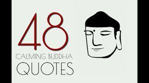 Buddha 48 Calming Quotes About Life Youtube You reap what you sow.
