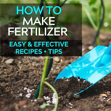 Here is a recipe to make your own miracle grow style plant food as well as a four other. Boost Your Harvest With Homemade Fertilizers You Should Grow