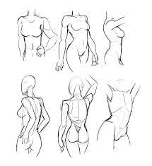 Drawing Drill 2 Hands Gesture Birds Torsos Arms Smirking Raven Body Reference Drawing Anatomy Sketches Anatomy Drawing All the best female reference drawing 40 collected on male and female up against the wall. drawing drill 2 hands gesture