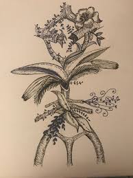 Circle Of Willis Nurse Tattoo Circle Of Willis Art Drawings