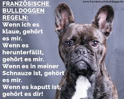 Franzosische Bulldogge Zitate Und Spruche Franzoesischebulldogge De