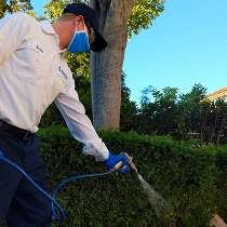The terminix tucson branch is staffed by service professionals who know local pest problems inside and out. Working At Moxie Pest Control Glassdoor