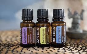 Homemade flea spray sales with essential oils