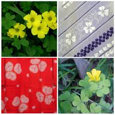 You can usually determine a wood piece as oak by running your hand across the piece. Katabami ã‚«ã‚¿ãƒãƒŸ Oxalis Or Wood Sorrel Identification The Flickr