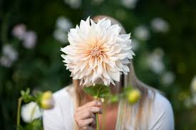 As the first snowdrops and crocuses appear, you know that spring is just around the corner and valley meadows will soon be carpeted in a. Florist Pacific Floral Flower Farm Tofino Ucluelet Comox Valley