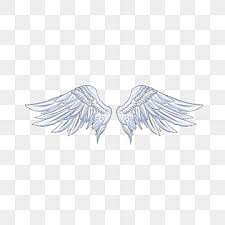 Paired angel or bird wings template, realistic vector illustration isolated. C Uwk0vuxrgvim