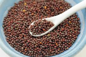 Check spelling or type a new query. Mustard Condiment Wikipedia