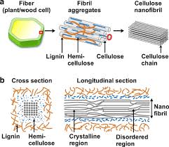 Cellulose is an organic compound belonging to the category of polysaccharides. Cellulose And Its Derivatives Towards Biomedical Applications Springerlink