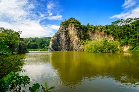 Bukit batok is a residential town in the western region of singapore. Bukit Batok Nature Park In Singapore Little Steps