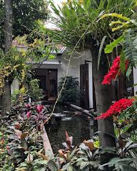 Sekian penerangan yg bisa admin berikan mengenai kolam ikan didalam rumah menurut fengshui. Kolam Ikan Belakang Rumah Infoakuakultur Com