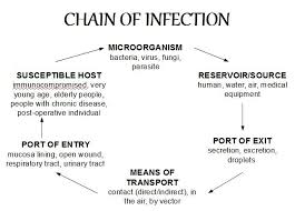 Chain Of Infection More Detailed Chain Of Infection Icu
