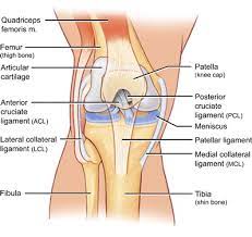 Ligament sprain may be the cause, but it could also be a ligament rupture. Pcl Surgery Success Rate Pcl Tear Sportsmd