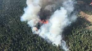 Bonnie henry, provincial health officer (pho), declared a public health emergency. Obfvmxdk6qakam