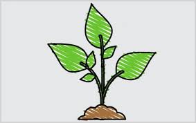Check spelling or type a new query. 2021 Sketsa Daun Terbaik Paling Indah Mudah Digambar Sindunesia