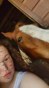 Management considerations for horses with ECVM