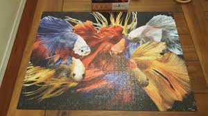 Mod podge a puzzle , best glue for puzzle mod podge how to clear excessive glue on puzzle. Best 5 I Ever Spent A Walmart Now I Need To Figure Out How To Frame This Beautiful 1 000 Piece Puzzle Bettafish