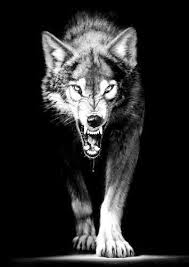 Lobo Feroz Wolf Tattoo Design Kurt Dovmeleri Kurt Adamlar