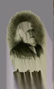 Image result for Schizochilus lepidus