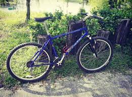 Maybe you would like to learn more about one of these? Retro Mtb Bike Kona Fire Mountain Sports Bicycles On Carousell