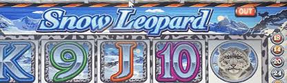 Best Snow Leopard Sweepstakes Slot Game Shop El Paso Texas Play The Most Advanced Snow Leopard Slot Game In El Paso In 2020 El Paso Texas Slots Games Snow Leopard