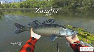 Descargue ultimate fishing simulator pro 0.238 mod (dinero ilimitado) gratis para móviles android, teléfonos inteligentes. Download Ultimate Fishing Simulator 2 34 Apk Mod Money For Android