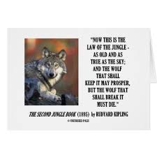 I was never a great reader, but there were two stories i loved. Quotes About Jungle Book 28 Quotes
