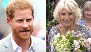 Camilla rosemary asıl adı camilla rosemary mountbatten windsor olan ya da daha önceki eşinin soyadıyla camilla parker bowles 1947 yılında doğdu. Principe Harry Fala Sobre Relacao Com Camilla E Surpreende A Todos Vix