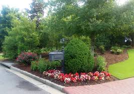Front yard landscaping with knockout roses. Pretty Mailbox Area With Boxwood Begonias Knock Out Roses Black Eyed Susans A Traditional Landscape Atlanta By Home Garden Design Atlanta Danna Cain Asla Houzz