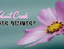 Maybe you would like to learn more about one of these? The 6 Best Options For Flower Delivery In Topeka Kansas 2021