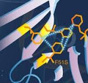Journal Cover Image Design Services for Scientific ...