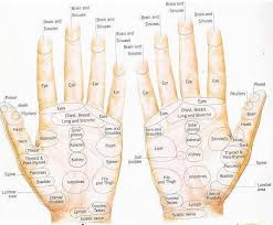 Reflexology Pressure Point Chart The Ear And Related