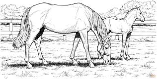 Horse coloring pages provide kids the chance to learn about these beautiful animals. Horse Coloring Pages Coloring Rocks
